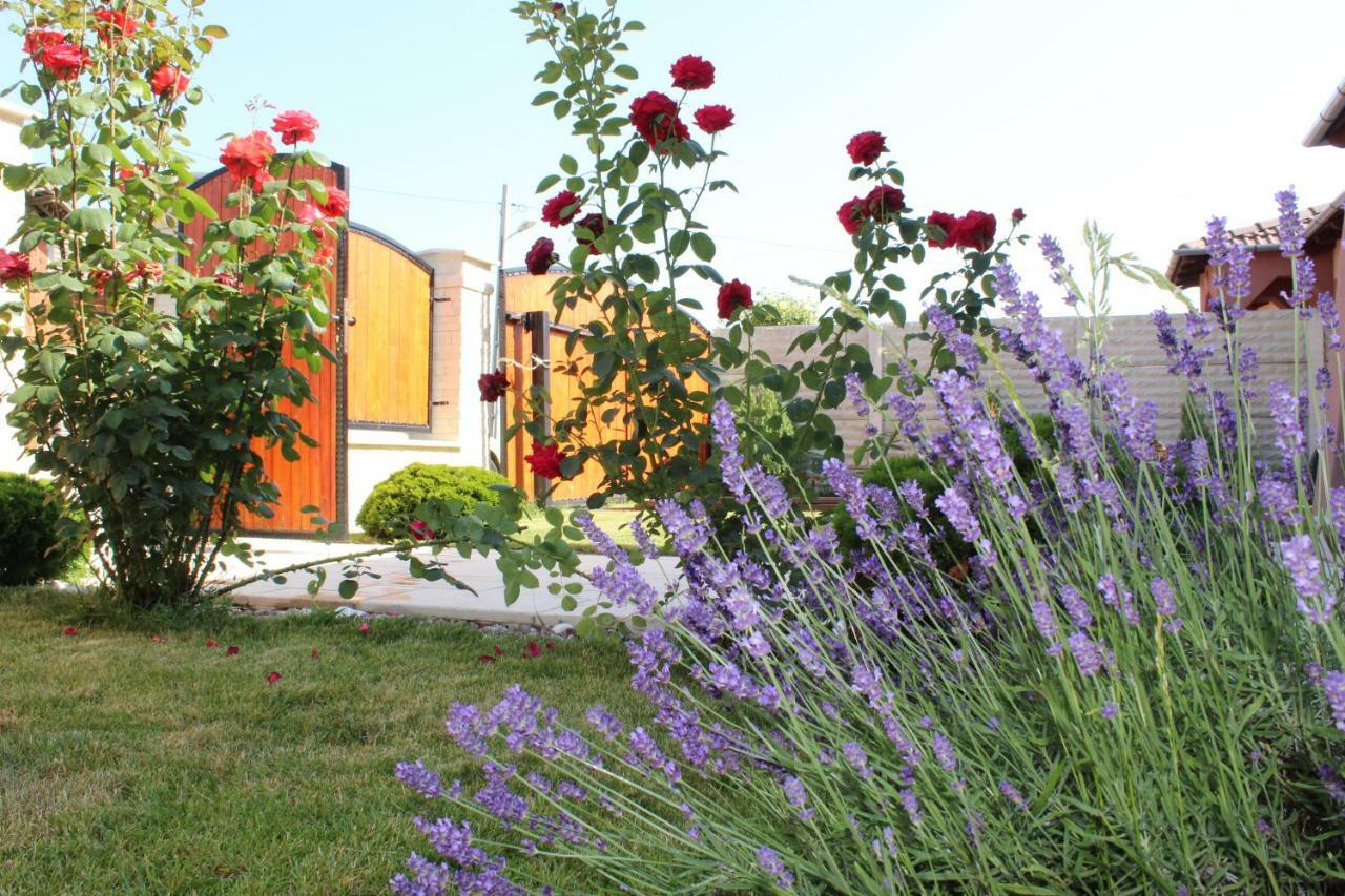 Villa Sia & Sophie 'S House Sîntandrei Exterior foto